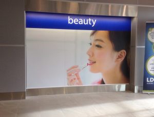 Large Format Graphics